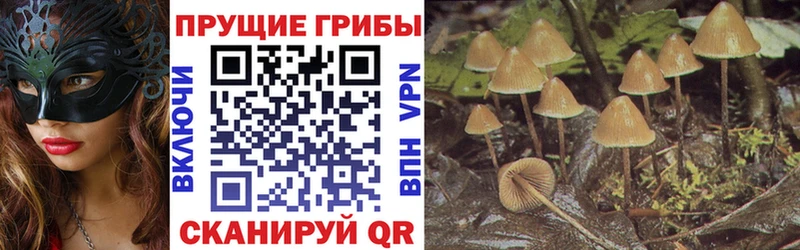Галлюциногенные грибы GOLDEN TEACHER  Купить закладки  Алагир 